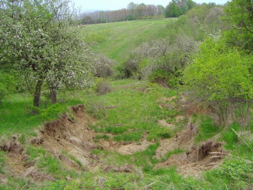 Sesuv půdy na Přecestném nad Žlebem - 7.5.2006